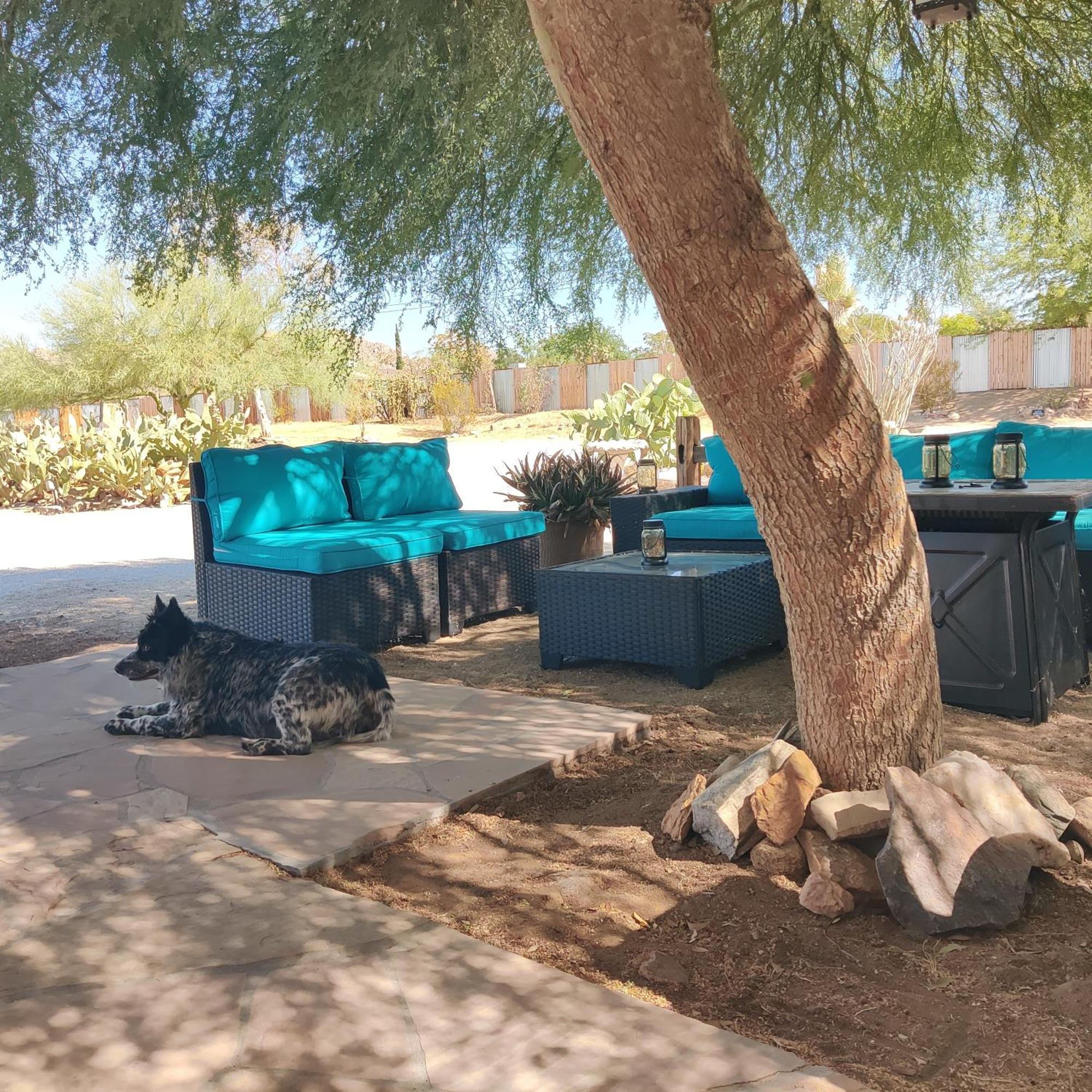 Joshua Tree Ranch House Motel - Downtown - Room #4 Luaran gambar